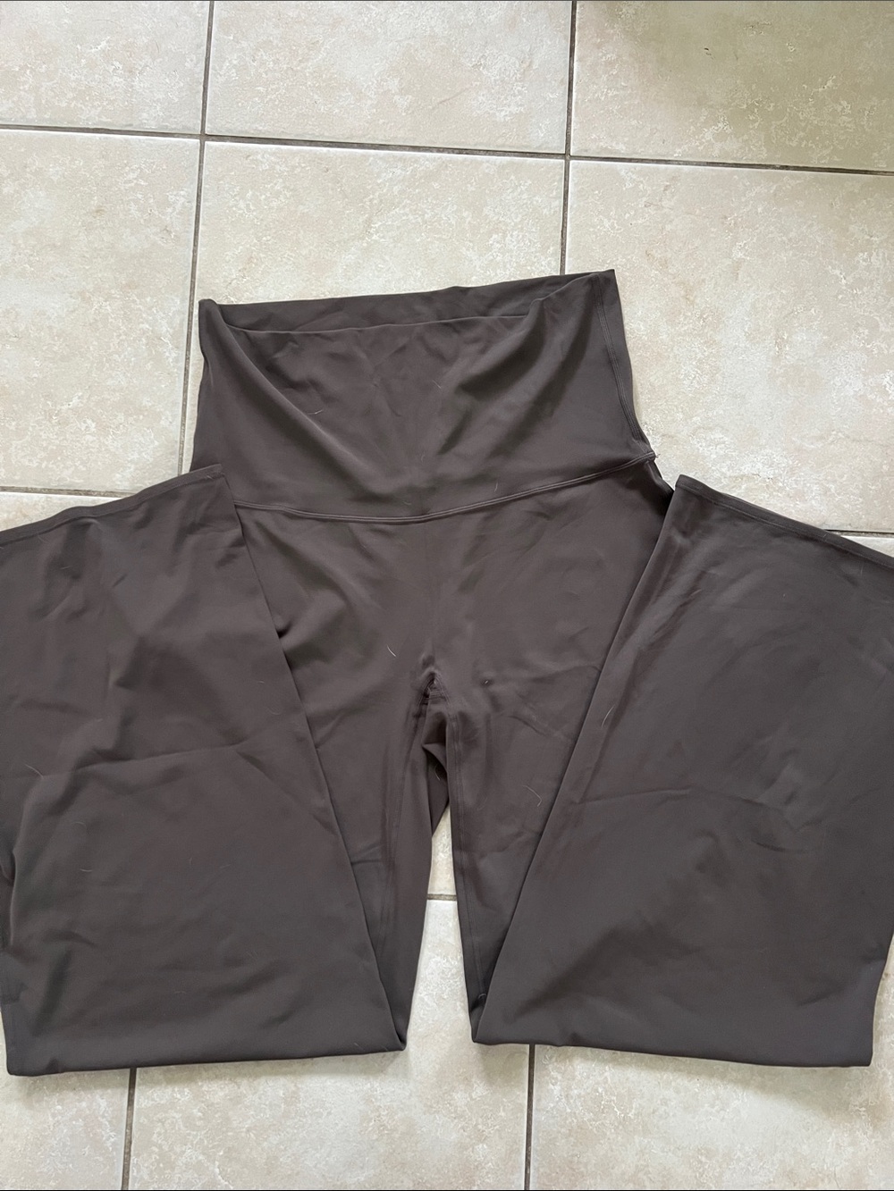 NWOT PTula Straight-Leg High-Waist Pants in Dark Brown *34” inseam*